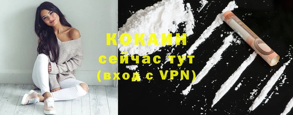 мескалин Заводоуковск