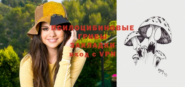 мескалин Заводоуковск